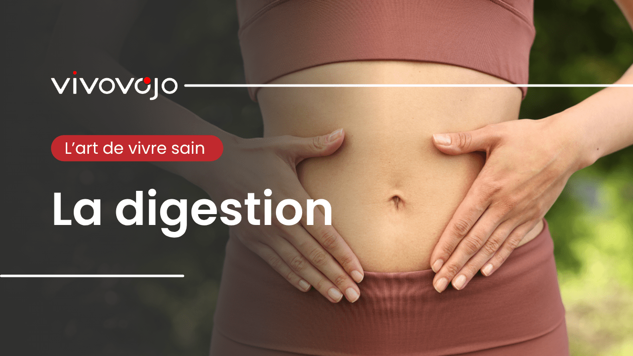 🍽️ La digestion : un voyage du dehors vers le dedans